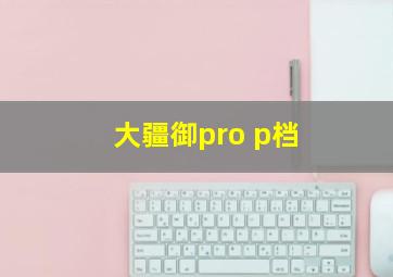 大疆御pro p档